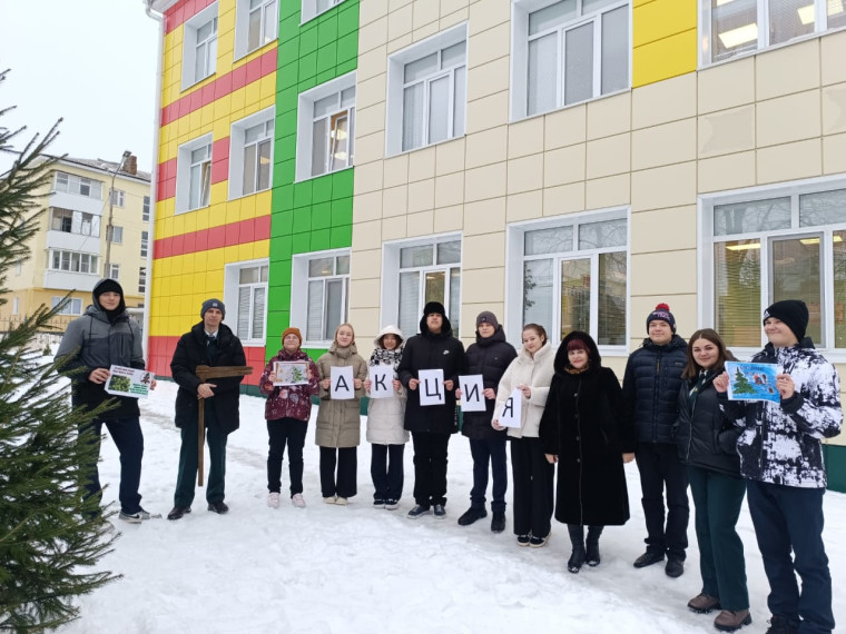 Встретим новый год без ущерба себе и лесам.